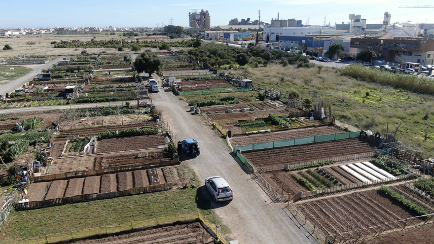 El Consell Agrari obri la convocatòria per a la concessió demanial de 62 horts urbans