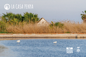 La Casa Penya estrena ‘Camins de l’aigua’, un vídeo que analitza el recorregut de l'aigua per tres zones humides valencianes de gran valor ambiental