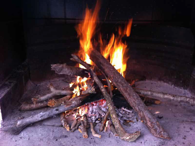 Imagen 1