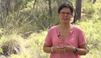 La Generalitat, conforme con la solicitud de Paraje Natural Municipal para la montaña de Romeu