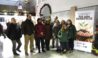 Risc de pluges nivell groc en el mediterrani