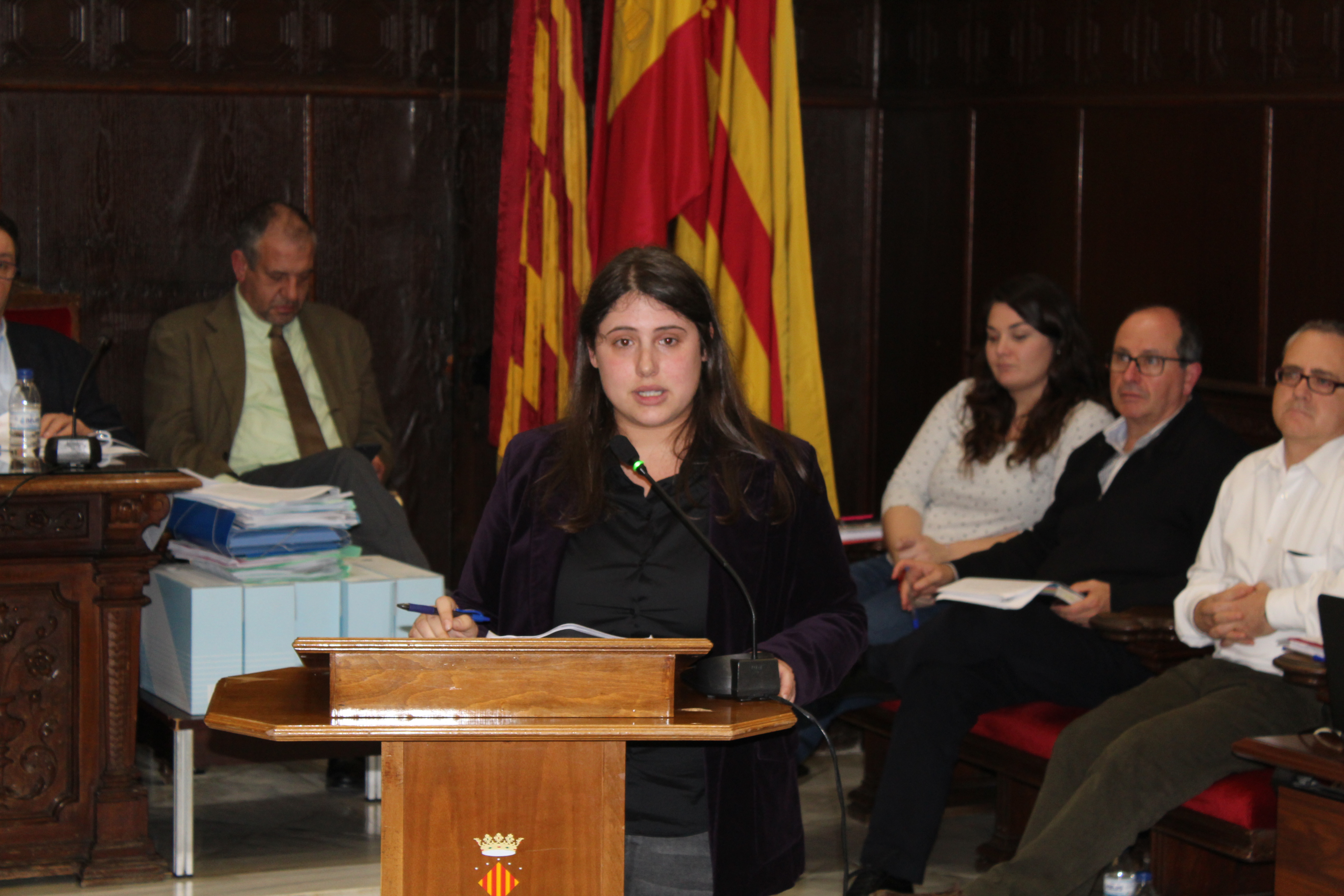 El Ple d'Ajuntament aprova, per majoria, que es modifique la Llei Electoral Valenciana