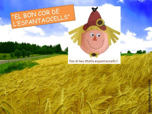 Imagen 1