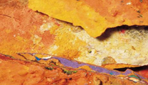 El Centre Cultural Mario Monreal acollirà l'exposició fotogràfica “El Color”, d'Encarna Tort