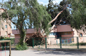 El Poliesportiu Municipal tancat i col·legis del municipi amb nombroses incidències a causa del fort vent