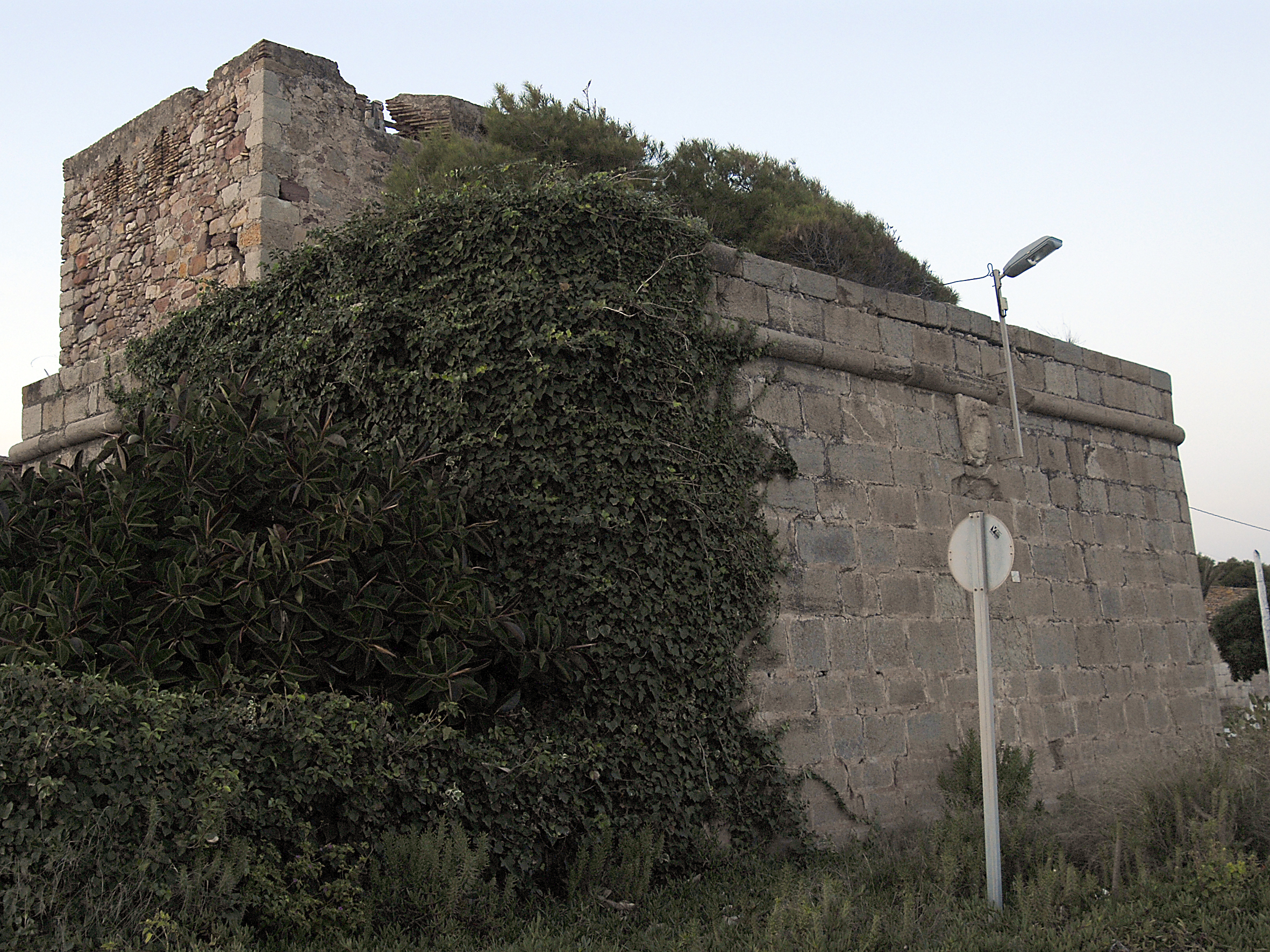 Imagen 1