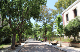 La Gerencia tendrá un paseo dedicado a su defensa por parte de la Comisión Ciudadana