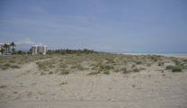 La Colla Verda organiza una quedada para limpiar la playa de Almardà 
