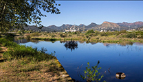 El Ayuntamiento de Sagunto y Acción Ecologista-Agró organizan cuatro visitas al patrimonio natural con motivo de la candidatura de Sagunto a Patrimonio de la Humanidad