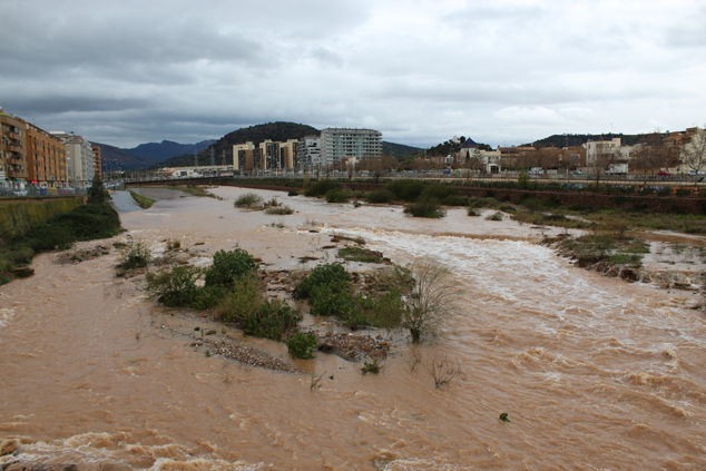 Imagen 2