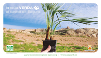 La Colla Verda i Acció Ecologista Agrò reprenen les seues activitats en la muntanya del Castell 